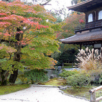祇をん 八咫 - 銀閣寺：秋の池