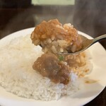 curry 草枕 - チキンカレー