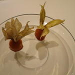 フロリレージュ - 鬼灯のパート・ド・フリュイ