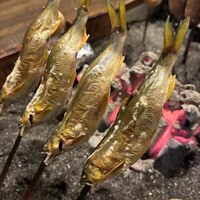 料亭 長坂 - 見事な鮎です