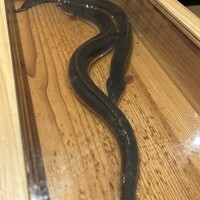 にょろ助 銀座 - 