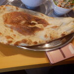 ネパールカレー RaJa 1号店 - 形態と大きさ比較