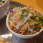 ネパールカレー RaJa - さらだ