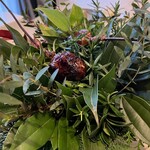 ノノカ レストラン - 