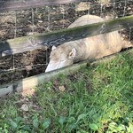 レークヒル・ファーム - 