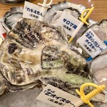 Oyster Bar ジャックポット - 