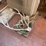 ビートイート - カッケェ