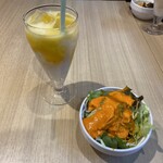 ガガンのカレー屋さん - マンゴーラッシーとサラダです