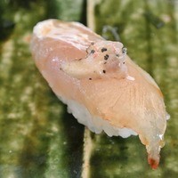 鮨長 - あまだい昆布締め
