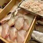 赤吉 - この日の魚たち