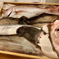 赤吉 - この日の魚たち