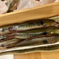 赤吉 - この日の魚たち