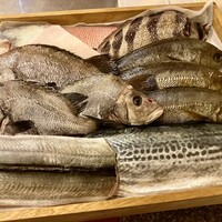 赤吉 - この日の魚たち