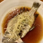 赤吉 - ヒゲソリダイ・中華蒸し