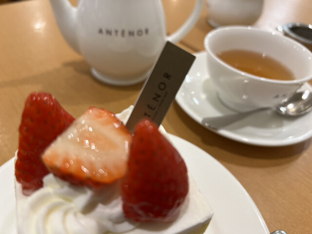 Antenor Kashihara Kintetsu Ten photo 5