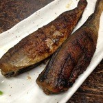 市民酒蔵諸星 - 氷下魚はフライパンで焼いてます