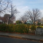 キッチン ブルー グローブ - 広い公園