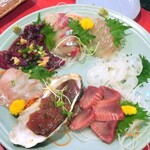 琴大和 - 刺身盛り合わせ