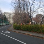 キッチン ブルー グローブ - 道なり