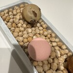 JINBO MINAMI AOYAMA - 