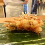 赤吉 - 車海老の頭