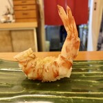 赤吉 - 天然車海老