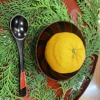 佳肴岡もと - 