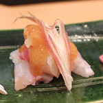 Nagumo - お造り　（昆布〆の鯛）