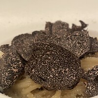 サーラ アマービレ -  サーラ アマービレ -