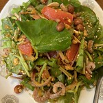 ゴールデン バガン - 