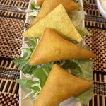 ゴールデン バガン - 