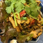 ゴールデン バガン - 