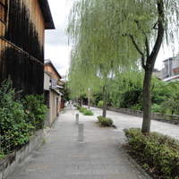 山玄茶 - 