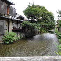 山玄茶 - 