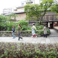 山玄茶 - 