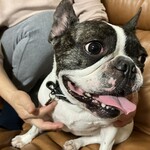 パティスリー SATSUKI - 