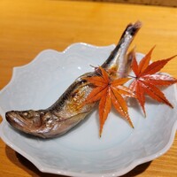 恵比寿 鮨 藤 - 立派な本ししゃも