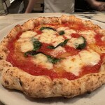 SAVOY とまととちーず店 - マルゲリータ