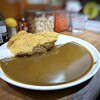 ナイル - ◆夫は「カツカレー(1,100円：税込）」カレーは「黒カレー」を選んでいました。前回と同じですね。(^_^;)