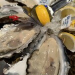 Oyster Bar ジャックポット - 