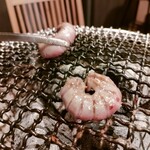 炭火焼肉ホルモンくう - コブクロ