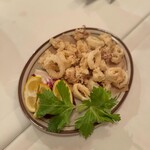 バンデルオーラ - 