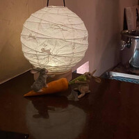 赤坂うさぎや - 