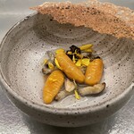 アントシカダ - 