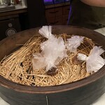 アントシカダ - 