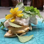 アントシカダ - 