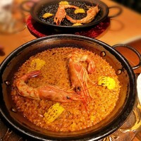 Potoro - 