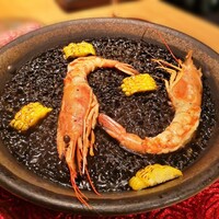 Potoro - 