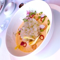 フィリップ・ミル 東京 - 【前菜】
                      真鯛のタルタル　メークインのリゾット　海藻のサバイヨン