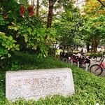 牛たん料理 閣 - 